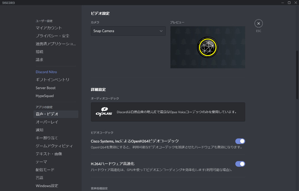 DiscordでのSnap Cameraの設定