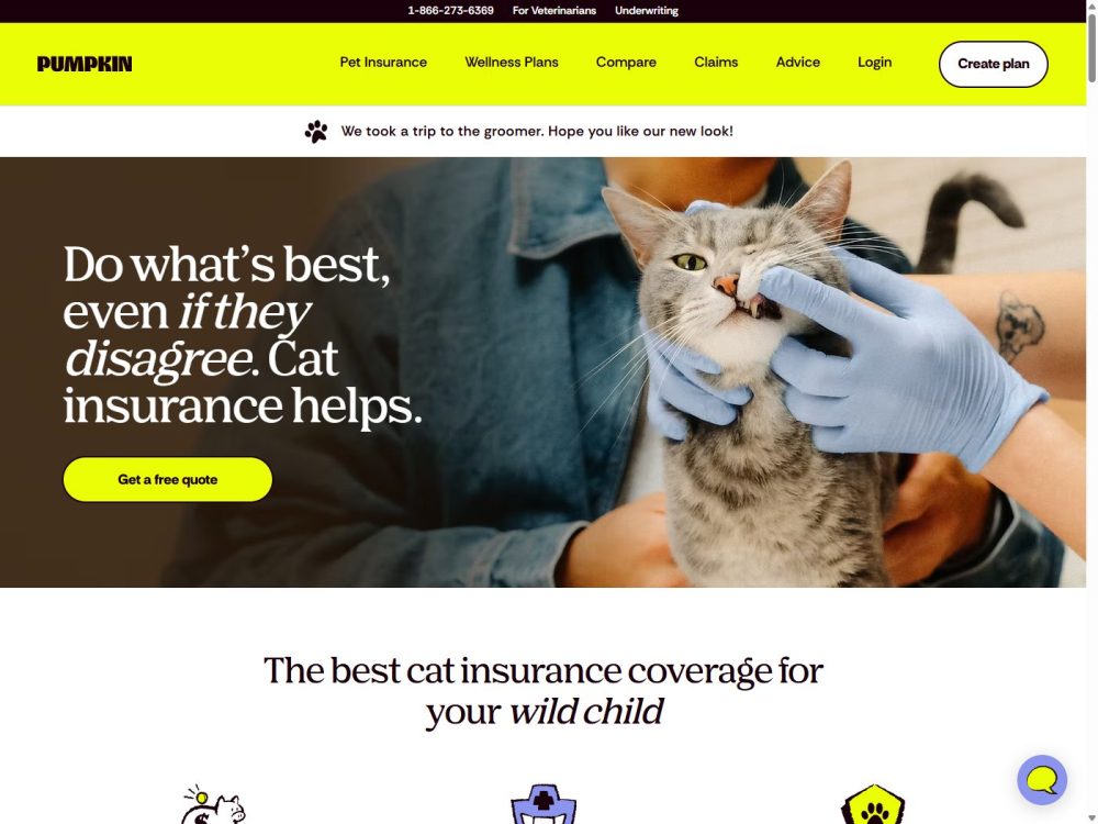 箇条書きを活用して読みやすさを高めたPumpkin Pet Insuranceの構成